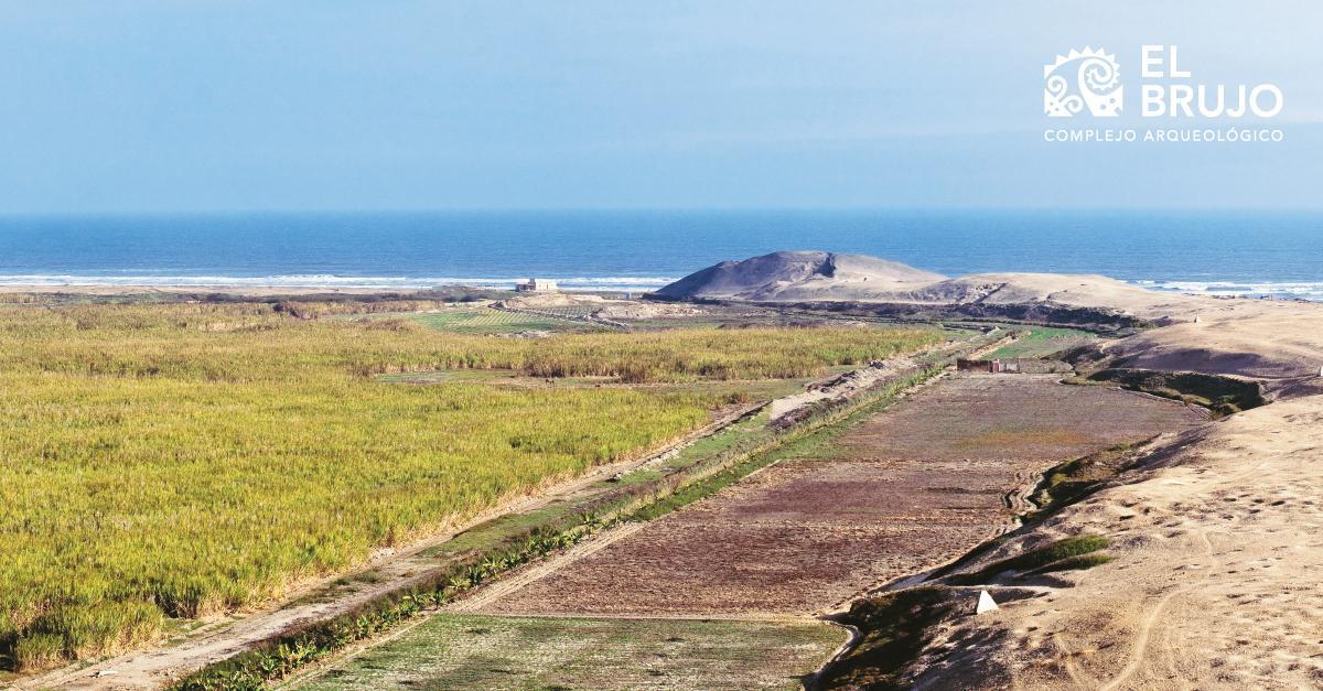 Día del Pescador Peruano: ¿cómo está actividad aportó a nuestro país desde hace 10 mil años a.C.?